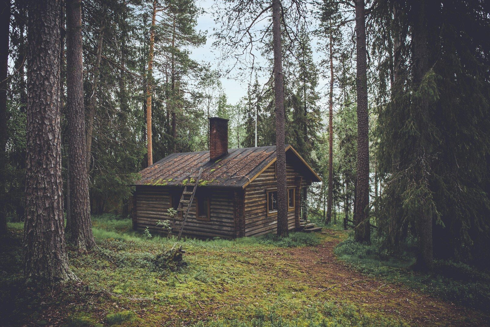 photo of brown wooden cabin in forest during daytime